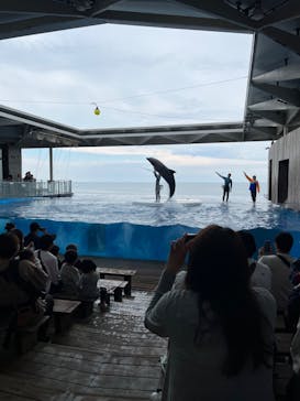 上越市立水族博物館 うみがたりに投稿された画像（2024/6/3）