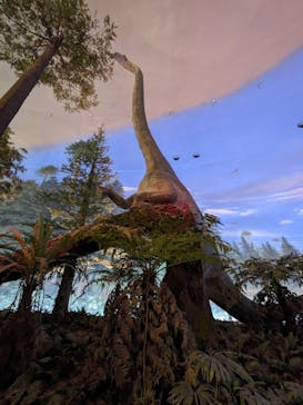 福井県立恐竜博物館に投稿された画像（2024/6/3）