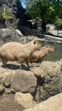 伊豆シャボテン動物公園に投稿された画像（2024/6/4）