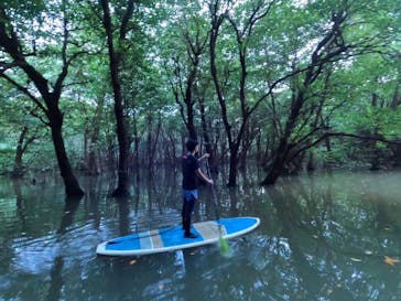 石垣島 ADVENTURE PiPi（イシガキジマアドベンチャーピピ）に投稿された画像（2024/6/4）