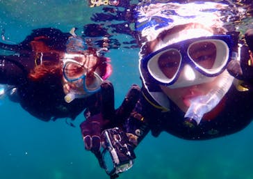 ダイブハウス富戸に投稿された画像（2024/6/4）