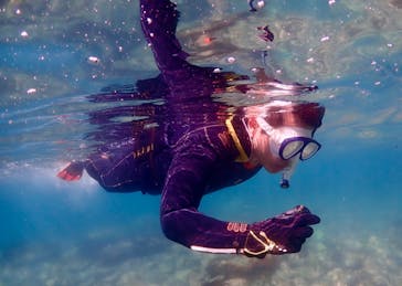 ダイブハウス富戸に投稿された画像（2024/6/4）