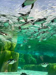 天王寺動物園に投稿された画像（2024/6/4）