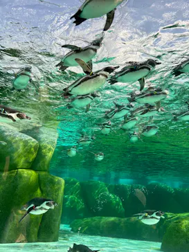 天王寺動物園に投稿された画像（2024/6/4）