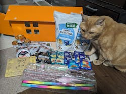 にゃんだらけ in 大阪 vol.4に投稿された画像（2024/6/4）