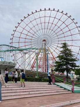 グリーンランドに投稿された画像（2024/6/4）