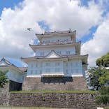 小田原城に投稿された画像（2024/6/4）