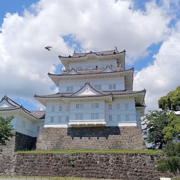 小田原城に投稿された画像（2024/6/4）