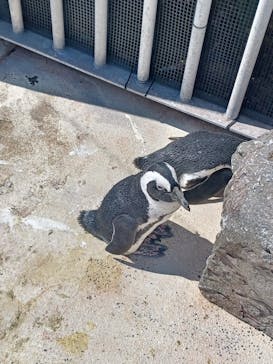 横浜・八景島シーパラダイスに投稿された画像（2024/6/4）