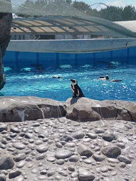 横浜・八景島シーパラダイスに投稿された画像（2024/6/4）