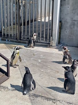 横浜・八景島シーパラダイスに投稿された画像（2024/6/4）