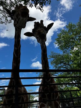 宇都宮動物園に投稿された画像（2024/6/4）