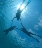 オースリーシュノーケル宮古島に投稿された画像（2024/6/4）