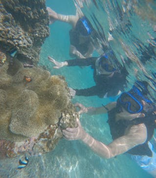 オースリーシュノーケル宮古島に投稿された画像（2024/6/4）