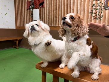 神戸どうぶつ王国に投稿された画像（2024/6/4）