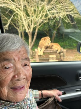 秋吉台自然動物公園 サファリランドに投稿された画像（2024/6/4）