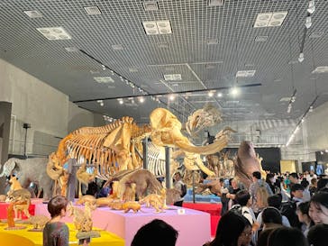 特別展「大哺乳類展３－わけてつなげて大行進」に投稿された画像（2024/6/4）