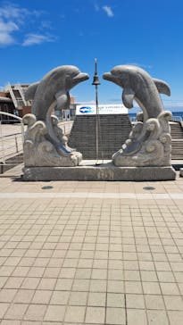 アクアワールド茨城県大洗水族館に投稿された画像（2024/6/4）