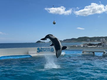 鴨川シーワールドに投稿された画像（2024/6/4）