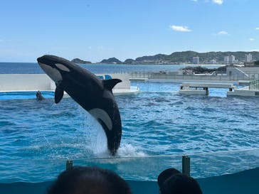 鴨川シーワールドに投稿された画像（2024/6/4）