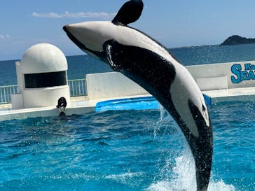 鴨川シーワールドに投稿された画像（2024/6/4）