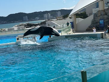 鴨川シーワールドに投稿された画像（2024/6/4）