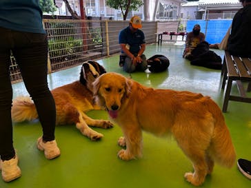 つくばわんわんランドに投稿された画像（2024/6/4）