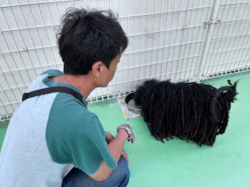 つくばわんわんランドに投稿された画像（2024/6/4）