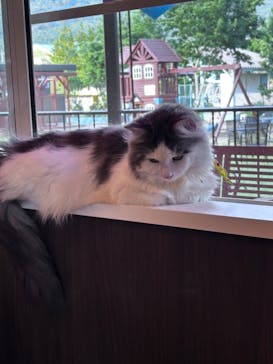 つくばわんわんランドに投稿された画像（2024/6/4）