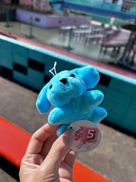 つくばわんわんランドに投稿された画像（2024/6/4）