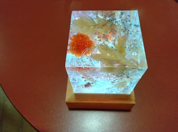 ずこうしつ〜sugamo〜に投稿された画像（2024/6/4）