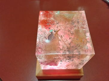 ずこうしつ〜sugamo〜に投稿された画像（2024/6/4）