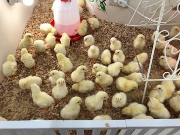 アニタッチ MARK IS 静岡に投稿された画像（2024/6/4）