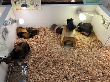 アニタッチ MARK IS 静岡に投稿された画像（2024/6/4）