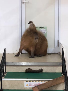 アニタッチ MARK IS 静岡に投稿された画像（2024/6/4）