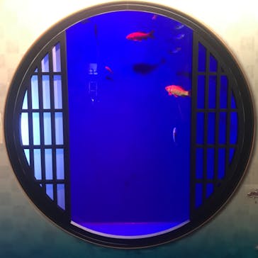 世界淡水魚園水族館　アクア・トトぎふに投稿された画像（2024/6/4）