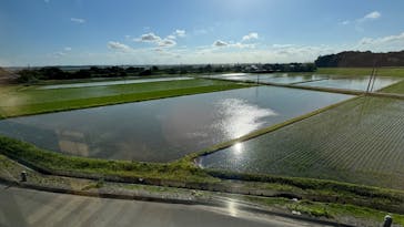 成田の命泉　大和の湯に投稿された画像（2024/6/4）