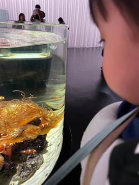 NIFREL（ニフレル）に投稿された画像（2024/6/4）