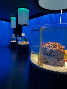 NIFREL（ニフレル）に投稿された画像（2024/6/4）