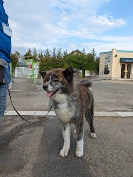 つくばわんわんランドに投稿された画像（2024/6/4）