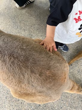 神戸どうぶつ王国に投稿された画像（2024/6/4）