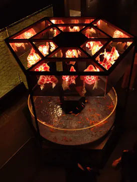 すみだ水族館に投稿された画像（2024/5/30）