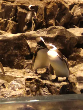 すみだ水族館に投稿された画像（2024/5/30）