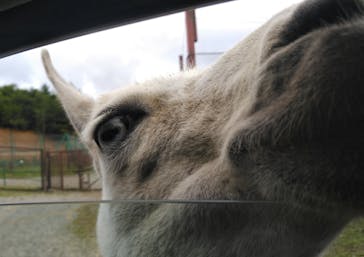 東北サファリパークに投稿された画像（2024/6/4）