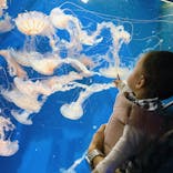 鴨川シーワールドに投稿された画像（2024/6/4）