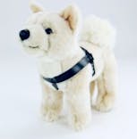 国立科学博物館に投稿された画像（2024/6/4）