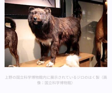 国立科学博物館に投稿された画像（2024/6/4）