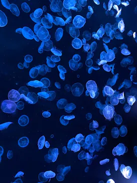 すみだ水族館に投稿された画像（2024/6/4）