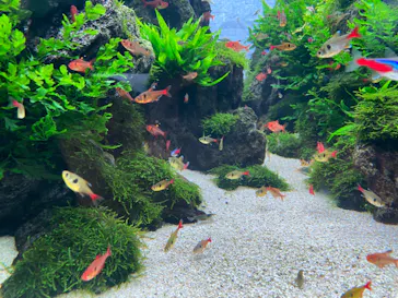 すみだ水族館に投稿された画像（2024/6/4）