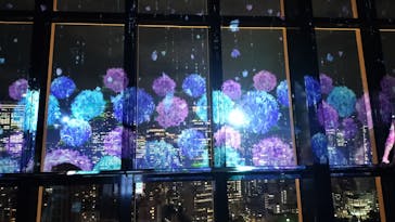 東京タワーに投稿された画像（2024/6/4）